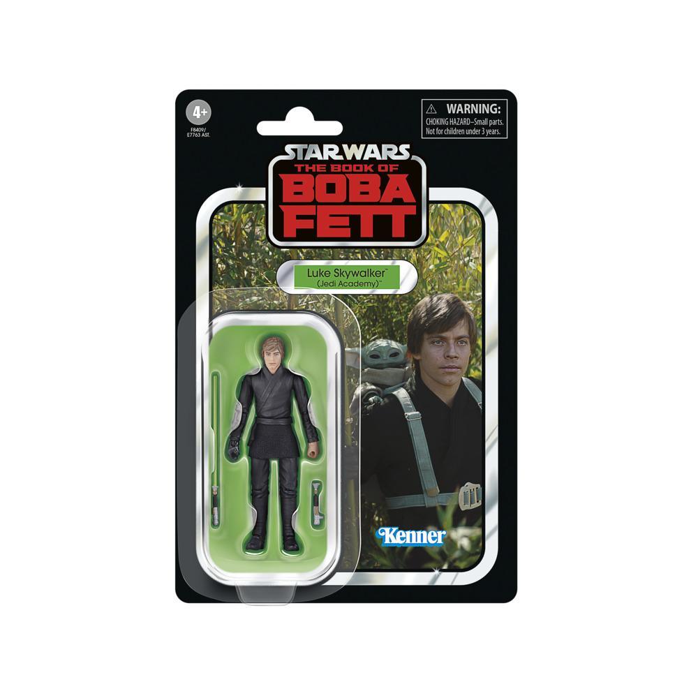 Star Wars The Vintage Collection Luke Skywalker Jedi Academy Action Figures 375